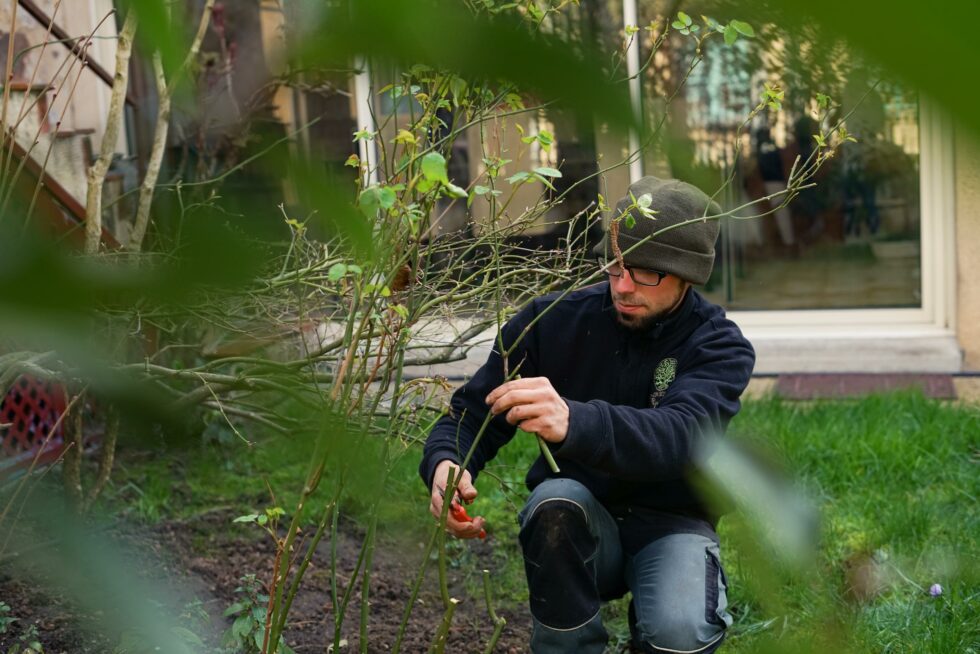 Services d'entretien - A CHACUN SON JARDIN