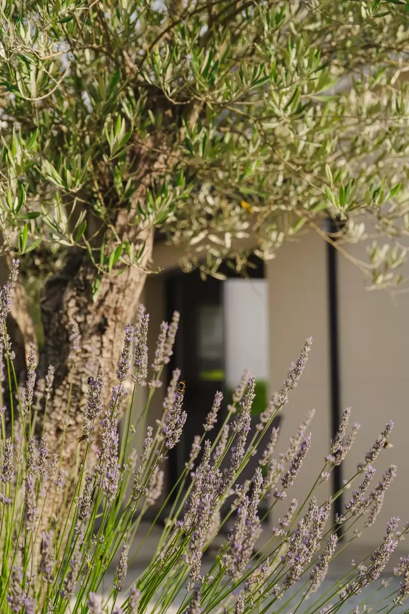 A Chacun son jardin - V2-054 copie A Chacun son jardin - V2-054 copie