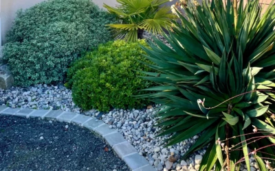 Aménagement de jardin : les tendances en 2026